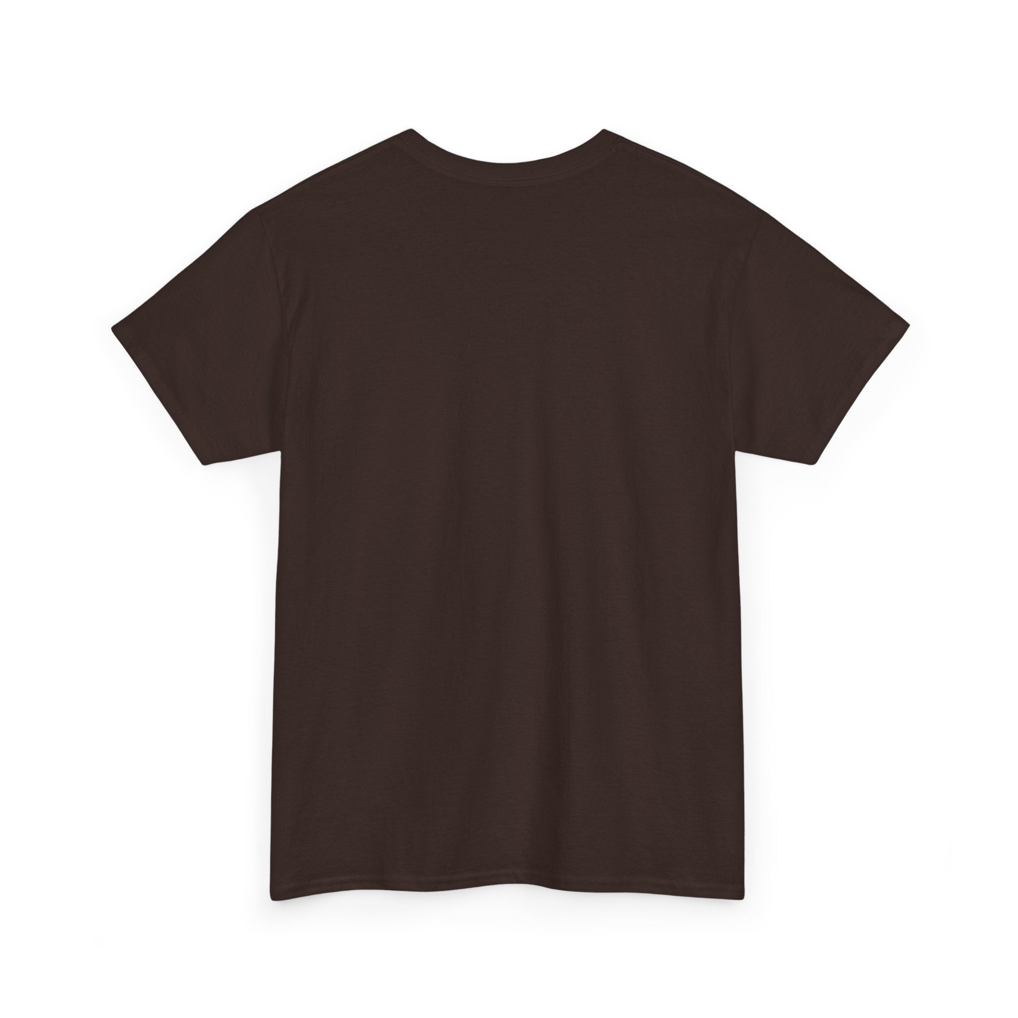 Emancipate The Bag T-Shirt — Funny Abraham Lincoln Money Graphic Tee