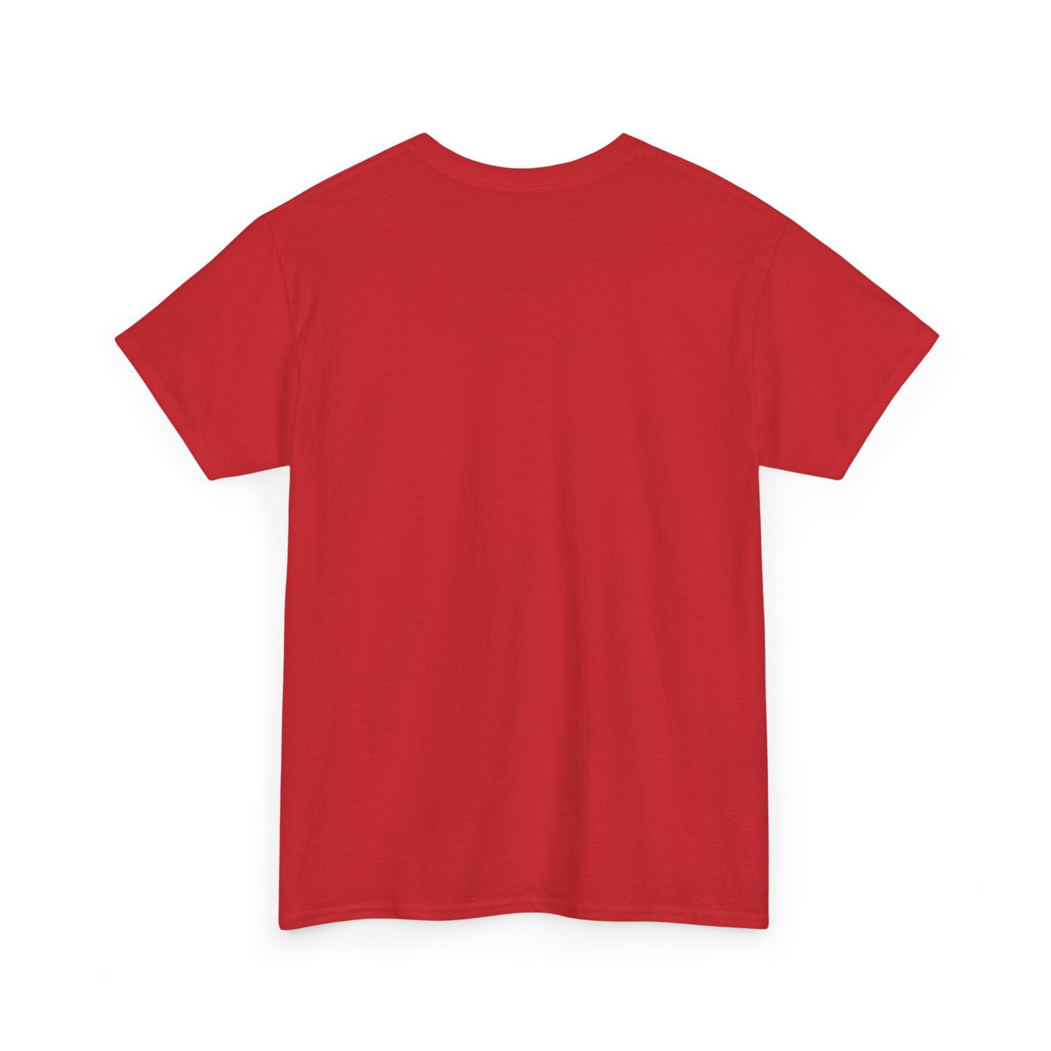 Veni, Vedi, Visa Graphic Tee — Vintage Julius Caesar Roman Shirt