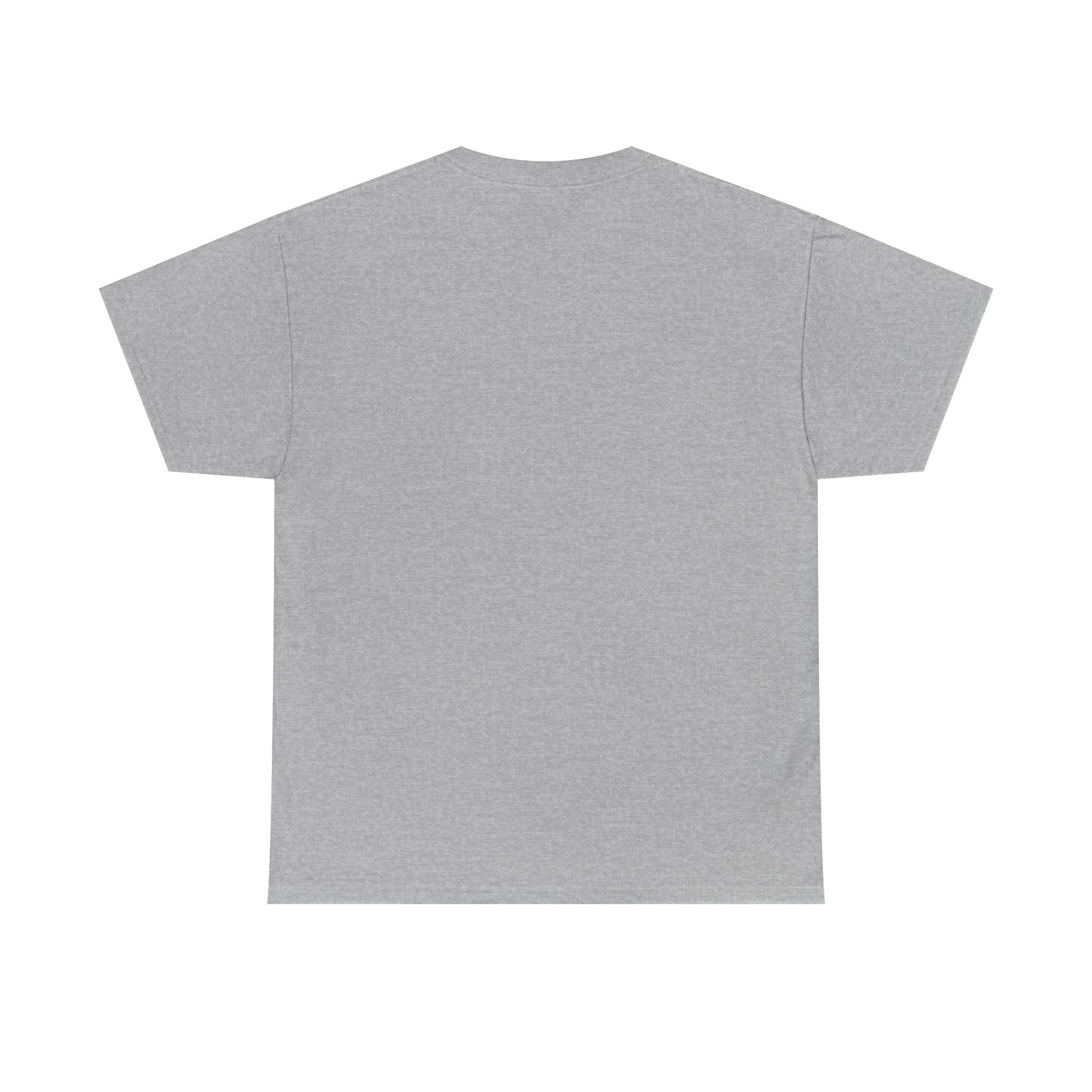 Emancipate The Bag T-Shirt — Funny Abraham Lincoln Money Graphic Tee