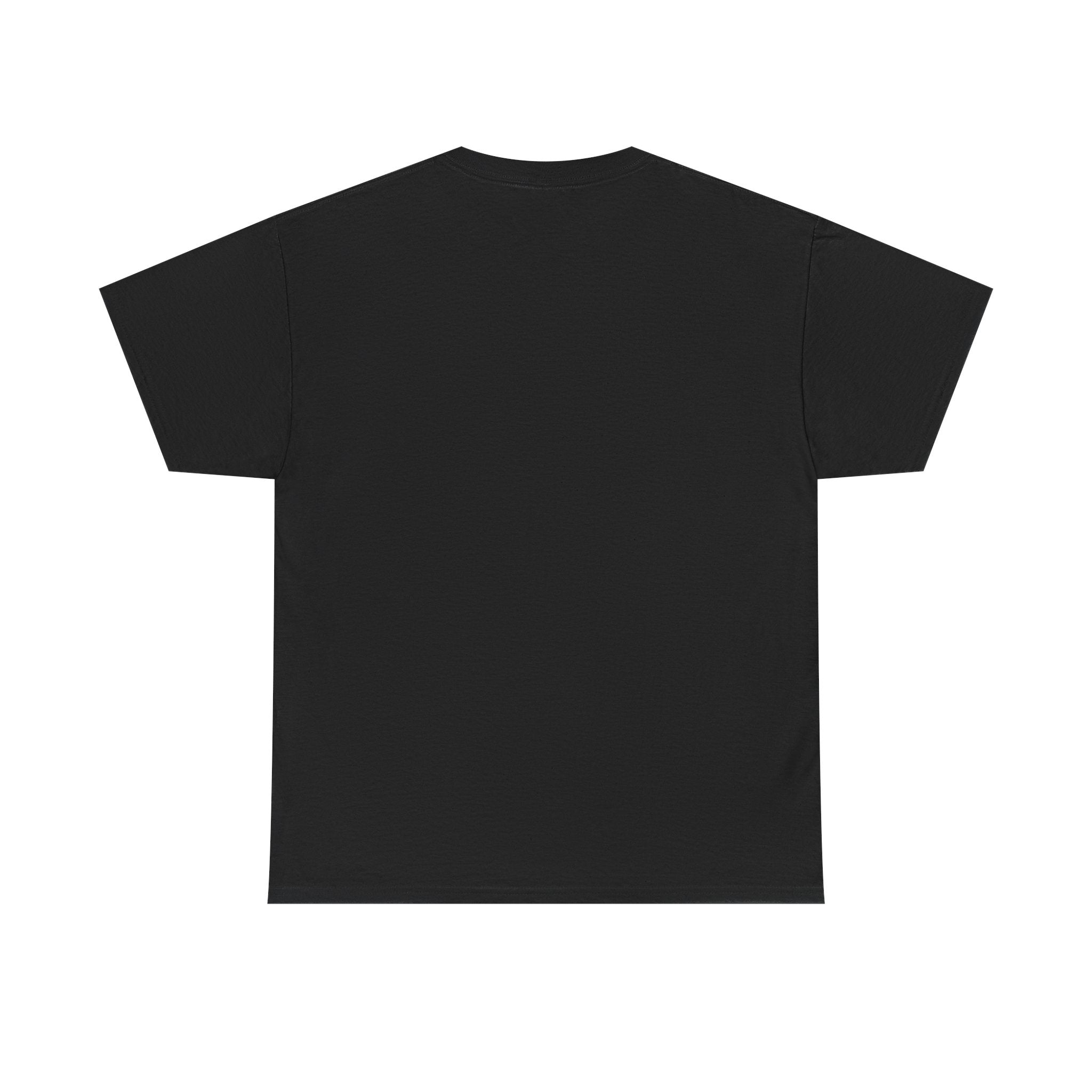Veni, Vedi, Visa Graphic Tee — Vintage Julius Caesar Roman Shirt