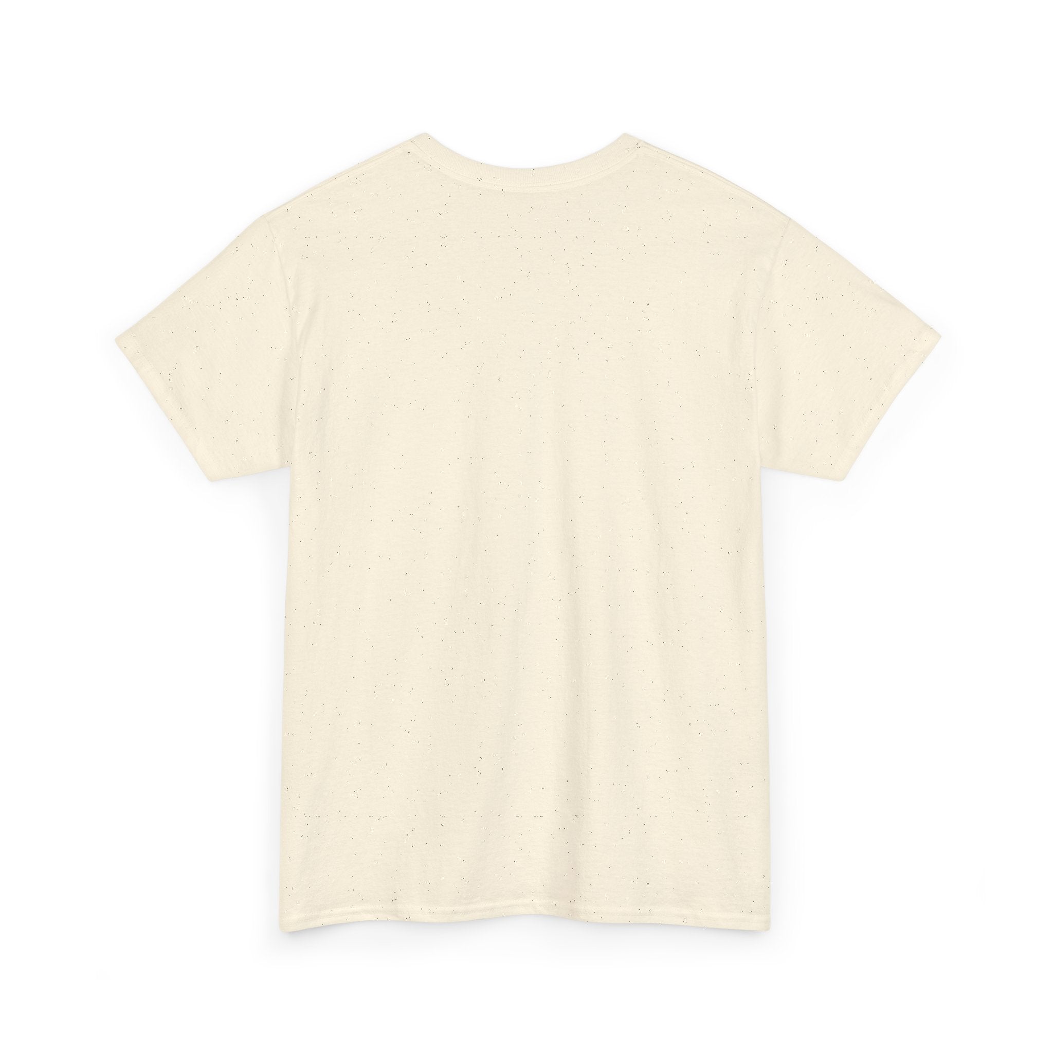 Veni, Vedi, Visa Graphic Tee — Vintage Julius Caesar Roman Shirt