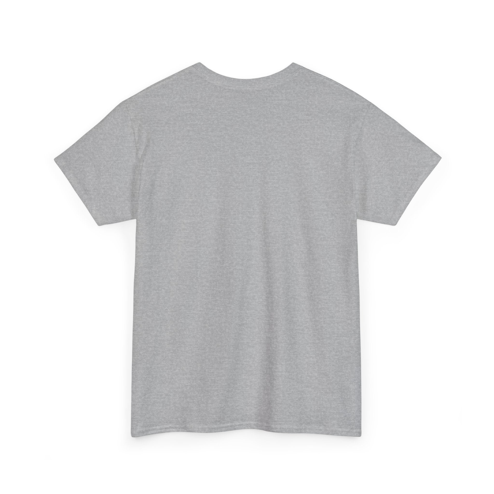 Veni, Vedi, Visa Graphic Tee — Vintage Julius Caesar Roman Shirt